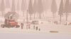 art-of-rally_original_1