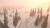 art-of-rally_original_3
