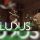 Ludus