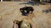 ludus_original_2