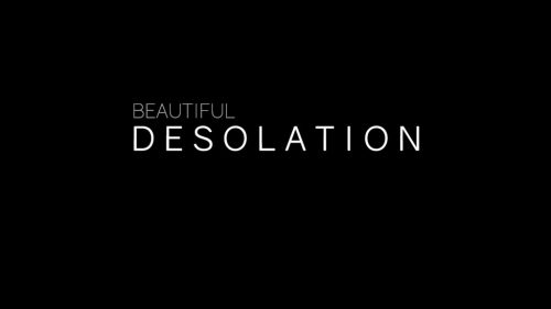 beautiful-desolation_cover_original