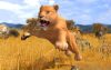wildlife-park-3_original_1