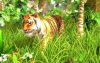 wildlife-park-3_original_3