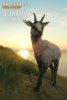 thehunter-call-of-the-wild-te-awaroa-national-park_cover_original