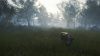 thehunter-call-of-the-wild-te-awaroa-national-park_original_2