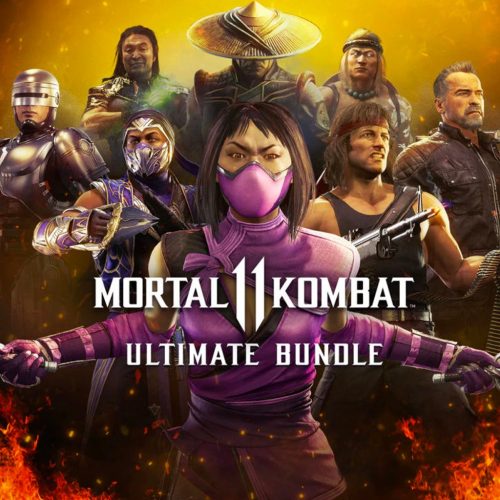 Mortal Kombat 11 - Ultimate Add-On Bundle