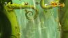 rayman-legends-definitive-edition_original_5