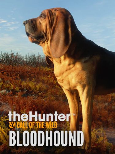 thehunter-call-of-the-wild-bloodhound_cover_original