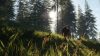 thehunter-call-of-the-wild-bloodhound_original_1