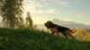 thehunter-call-of-the-wild-bloodhound_original_3