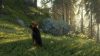 thehunter-call-of-the-wild-bloodhound_original_4