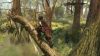 Assassin's Creed III Remastered Nintendo Switch játék