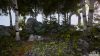 mind-path-to-thalamus-eedition_original_0