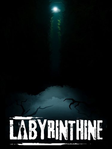 labyrinthine_cover_original