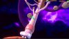 fling-to-the-finish_original_2