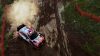 wrc-10-fia-world-rally-championship_original_2