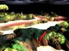 darwinia_original_1