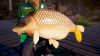 fishing-sim-world-pro-tour-collectors-edition_original_1