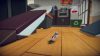 SkateBIRD PC Steam játék