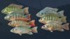 ultimate-fishing-simulator-kariba-dam_original_3