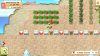 harvest-moon-light-of-hope_original_4