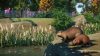planet-zoo-north-america-animal-pack_original_0