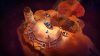the-last-campfire_original_3